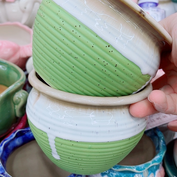 多肉植物陶瓷花盆