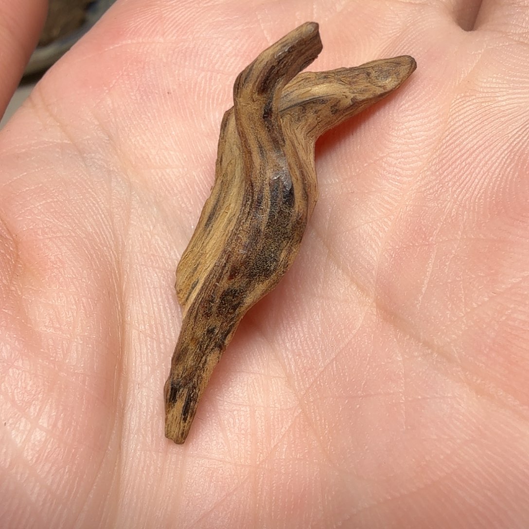 香港土沉参凉花香蜜甜1.13克