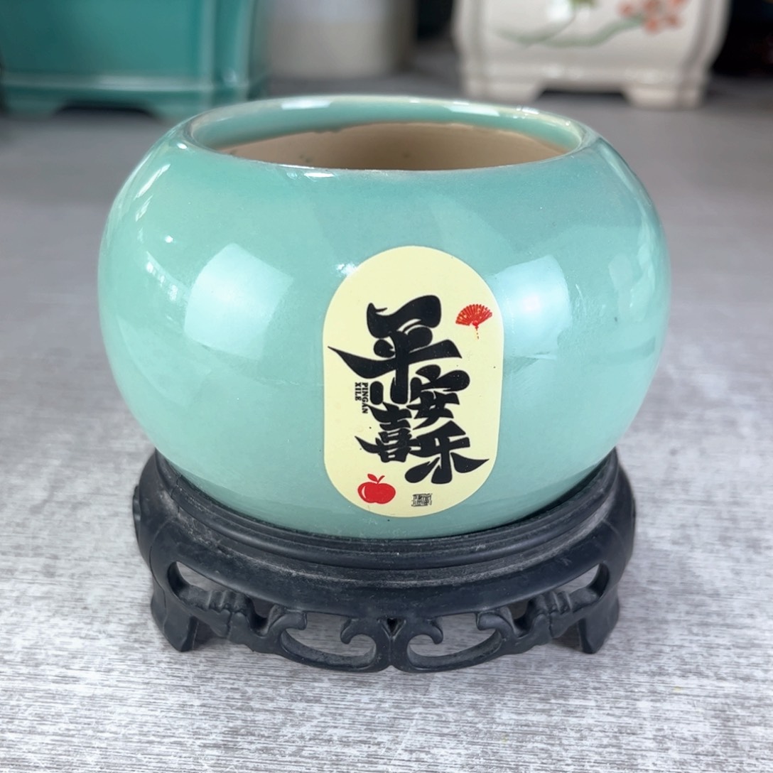 陶瓷绿植多肉花盆，拍满8.8包邮发货
