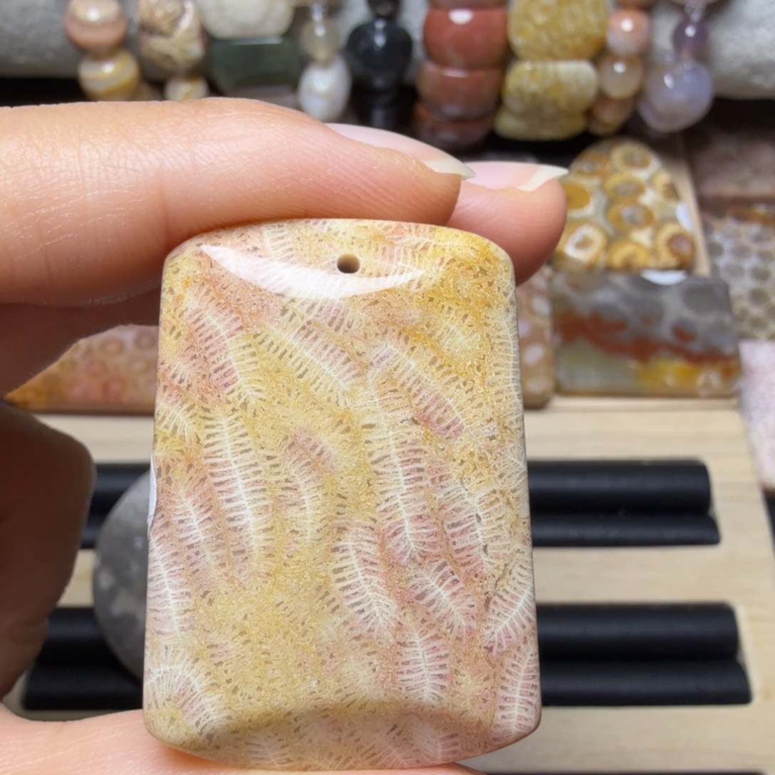 硅化玉未镶嵌清晰虫纹