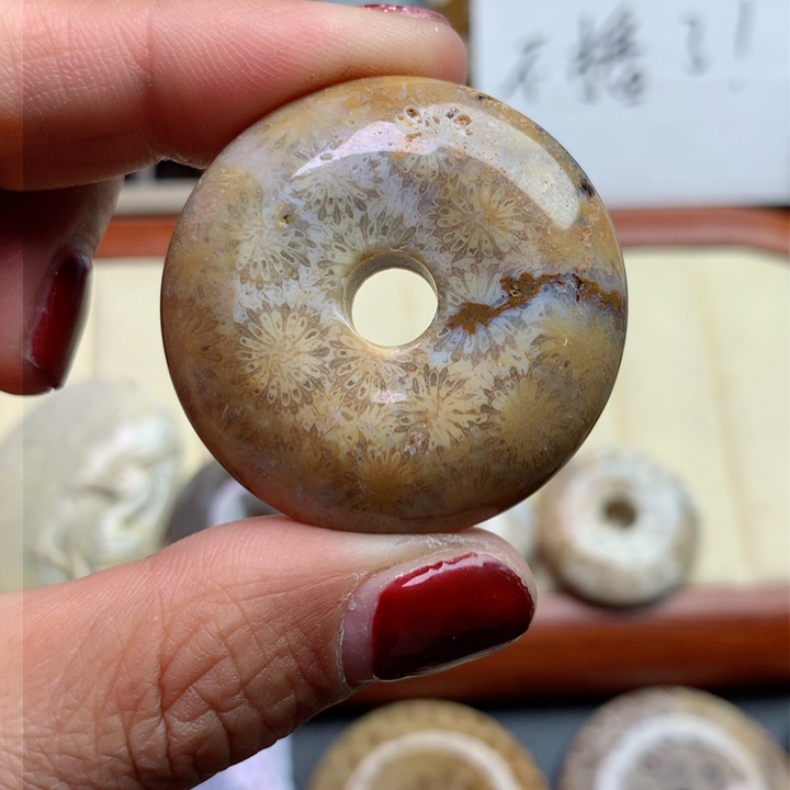 硅化珊瑚（珊瑚玉）颈饰未镶嵌