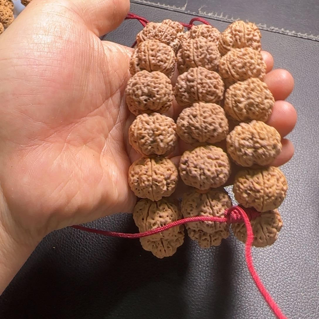 金刚菩提手串21尺寸霸王龙