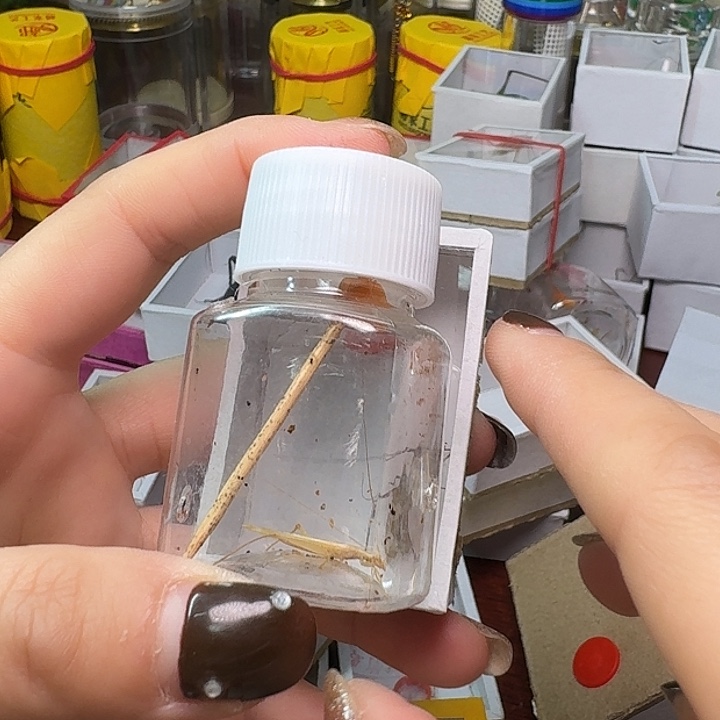 老***王蟋蟀一条竹林一条红竹。     