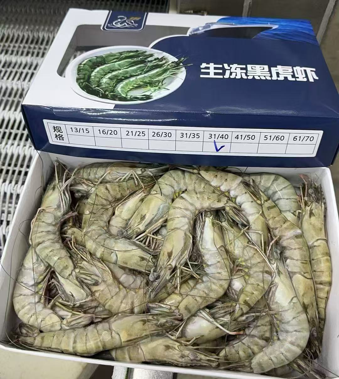 31/40活冻黑虎虾 