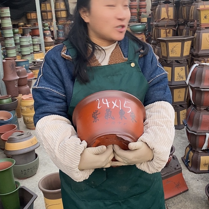 紫砂花盆紫砂花盆盆栽花卉苗木种植