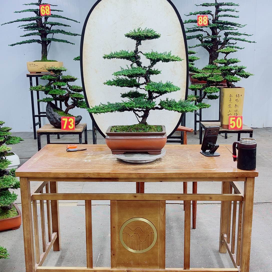 无花朵直播间一物一拍