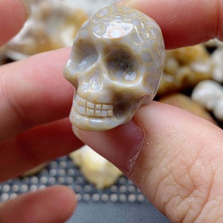 硅化珊瑚（珊瑚玉）颈饰未镶嵌