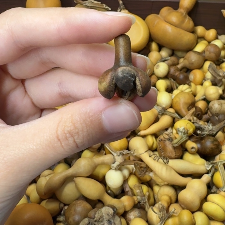 葫芦葫芦葫芦不包邮