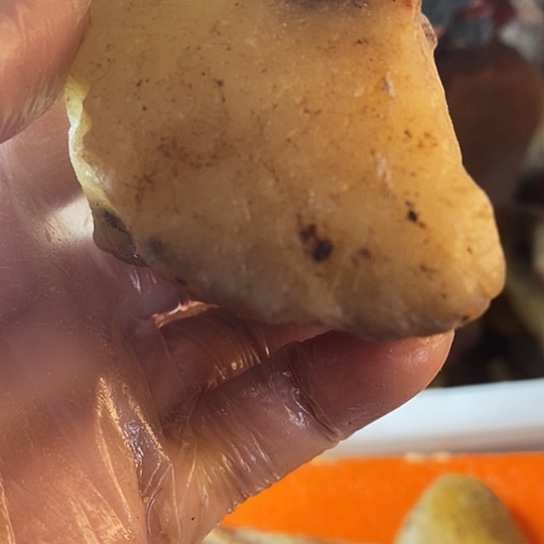 用***3寿山石寿山品种石原石毛料