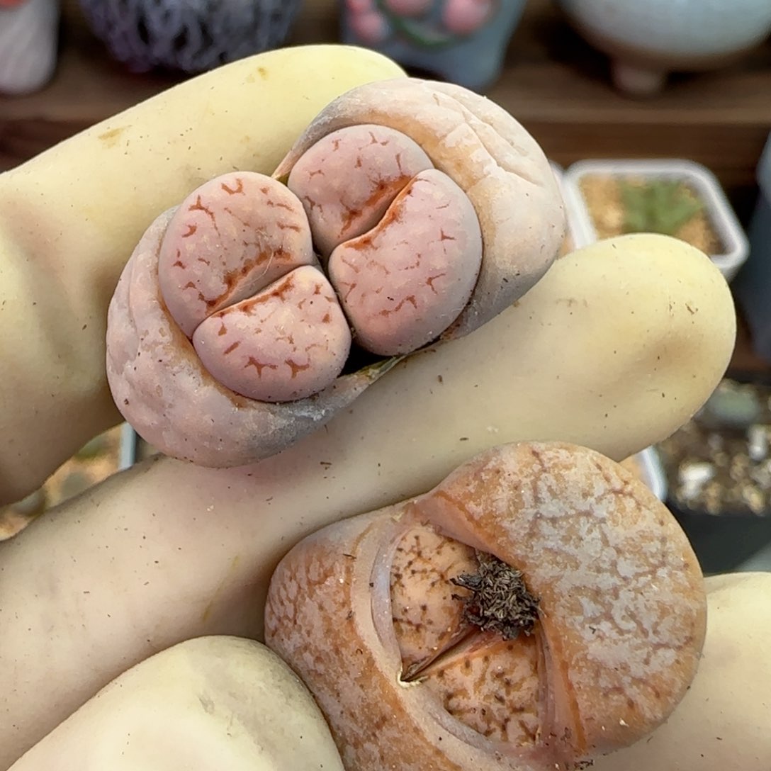 263福利福利福利