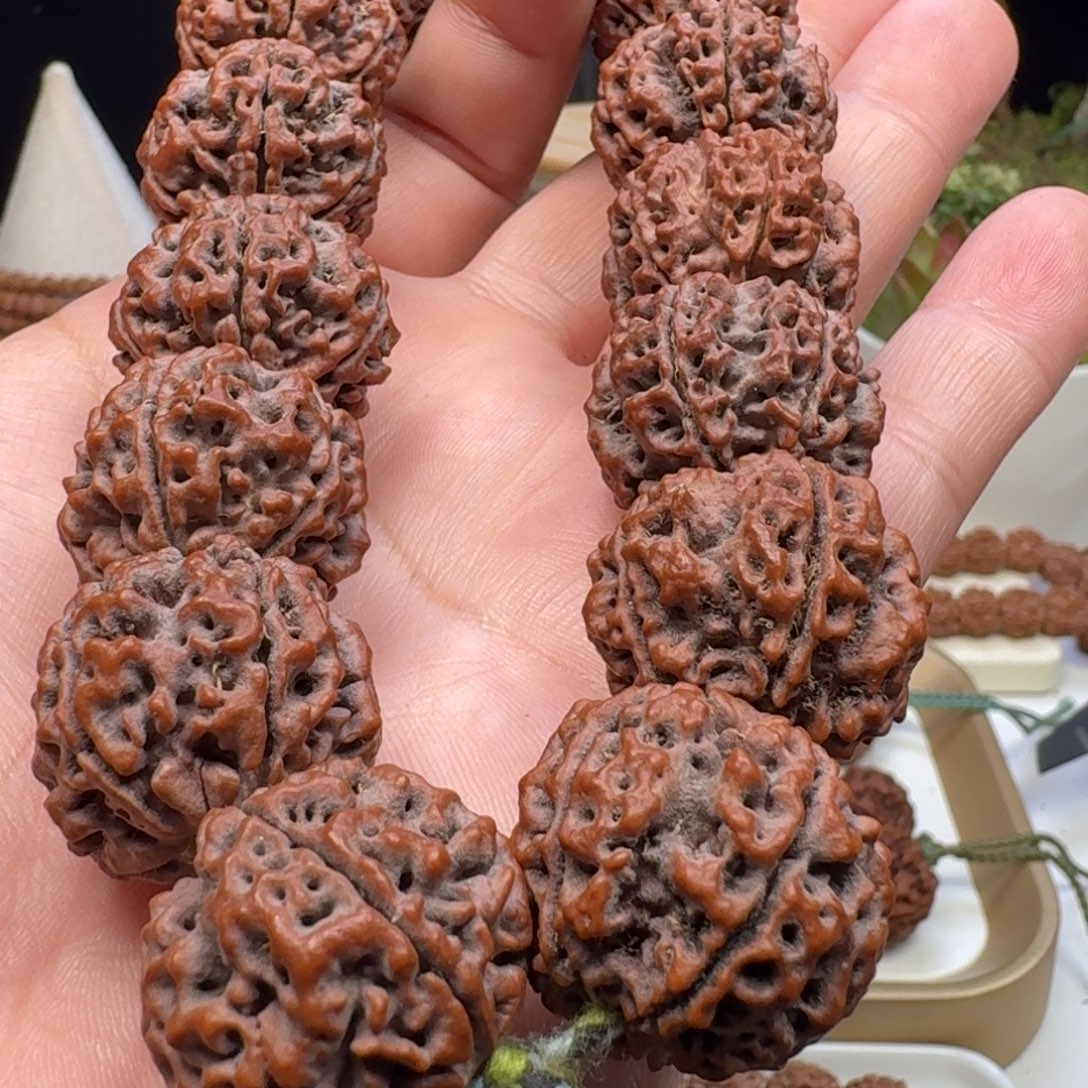 三***迁手串金刚菩提粗筋蜂窝双龙