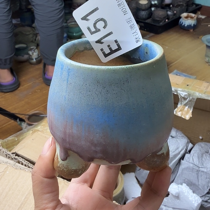 重庆小燕子欢迎大家151