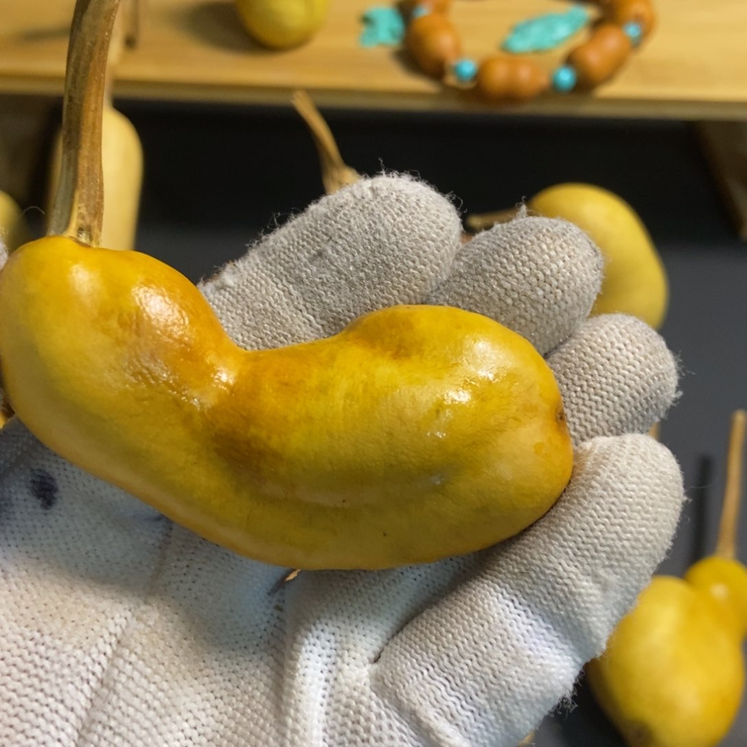 洛****?葫芦葫芦真的