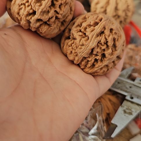 文玩核桃吊坠43.5粗筋