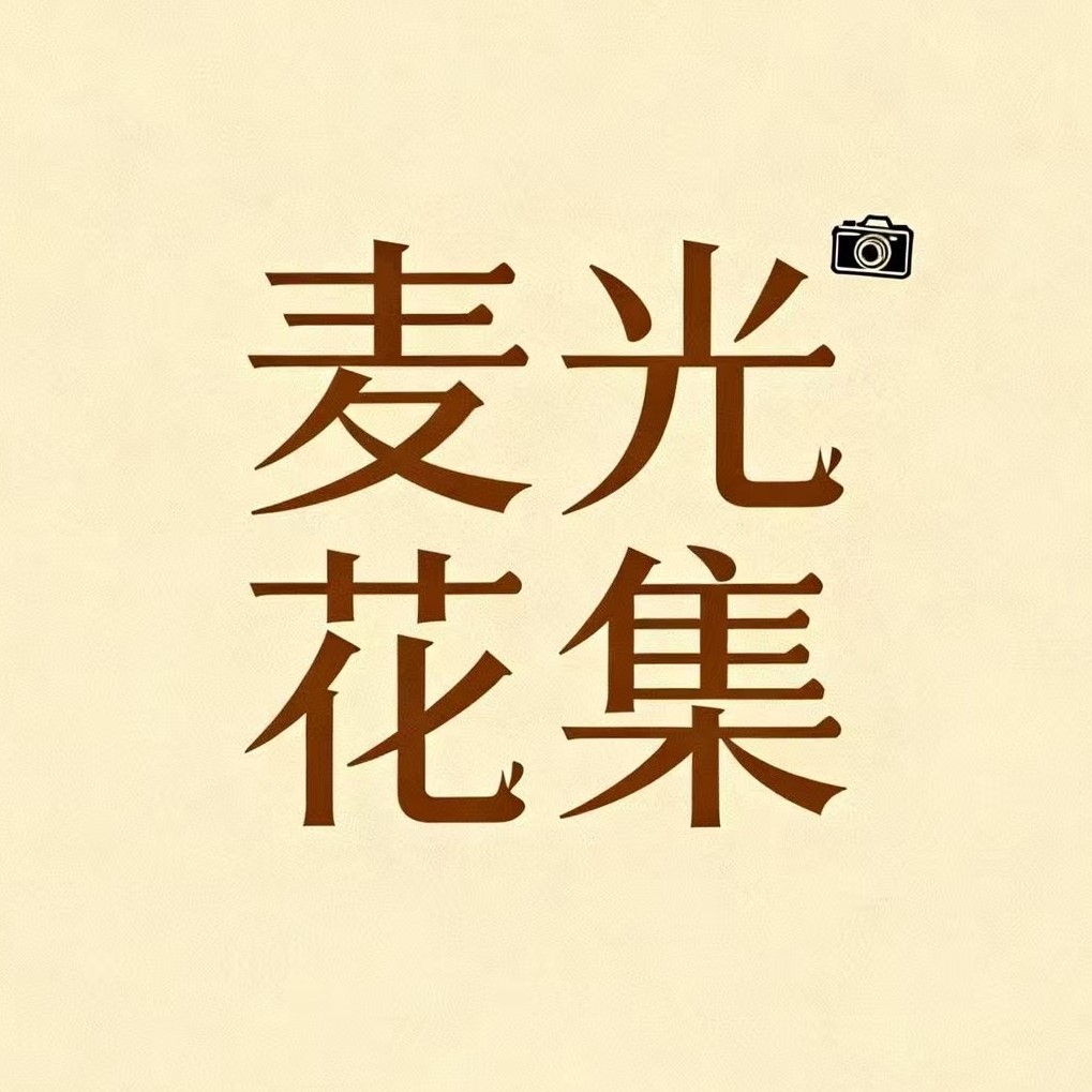 麦光花集 手工仿真植物盆景
