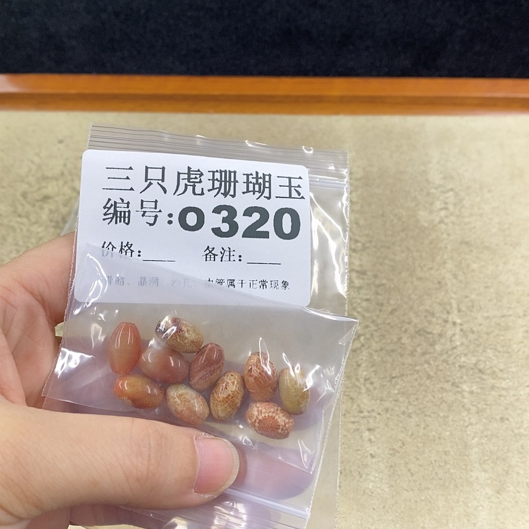 硅化珊瑚（珊瑚玉）1未镶嵌女***娆