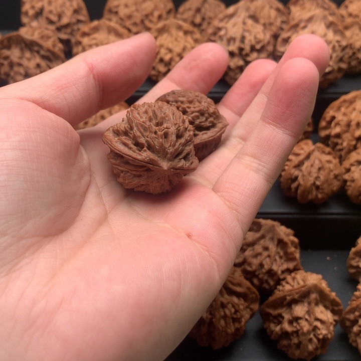 其他核桃且****猫秦岭山脉