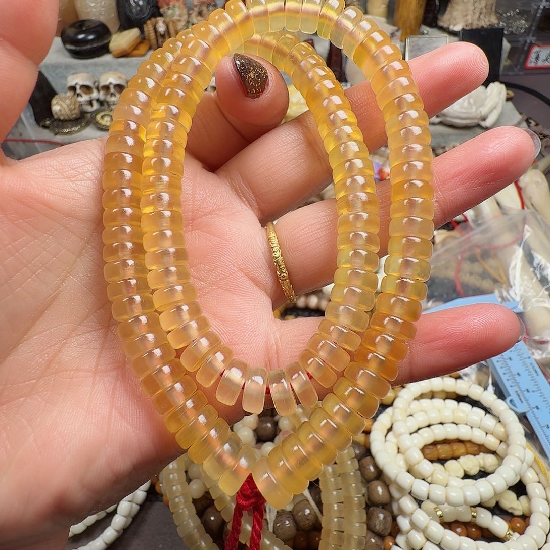 牛骨其他0000000000275