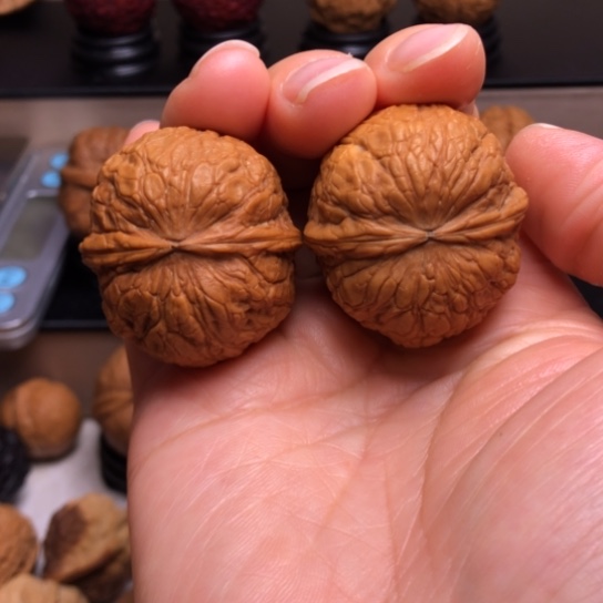 文玩核桃把件金蟒蛇皮球24