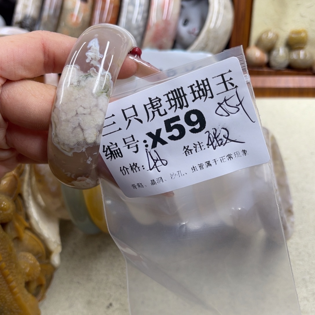我***菜硅化珊瑚（珊瑚玉）未镶嵌h