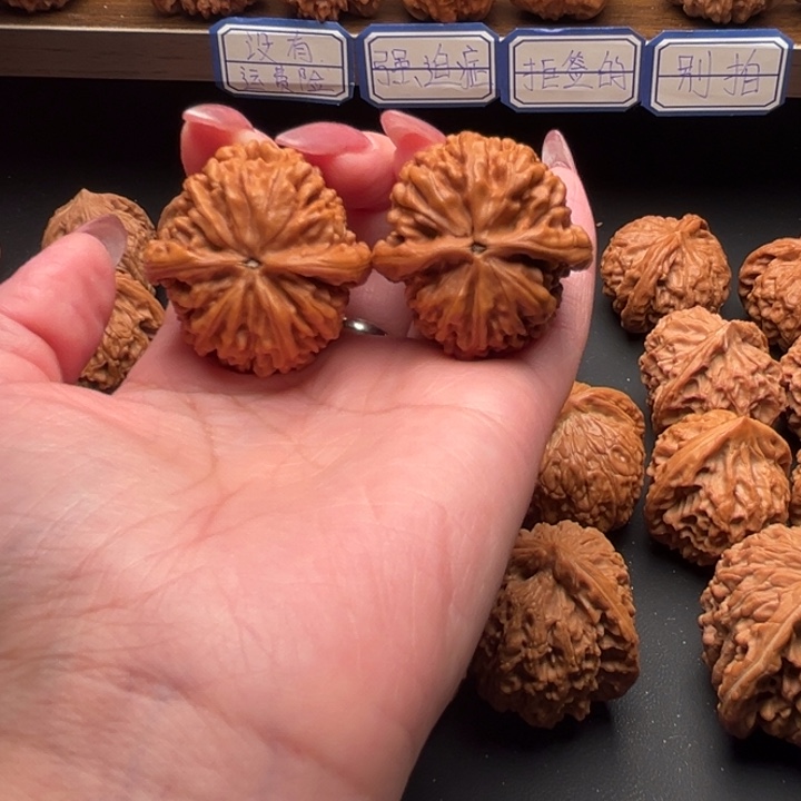 文玩核桃把件c**F蚂蚁王