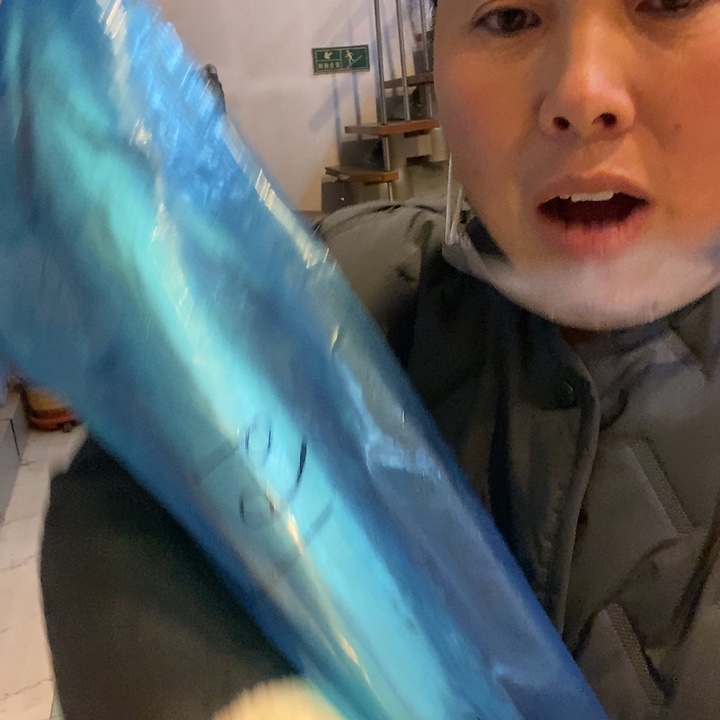 中国大陆渤海湾野生燕鲅鱼3号