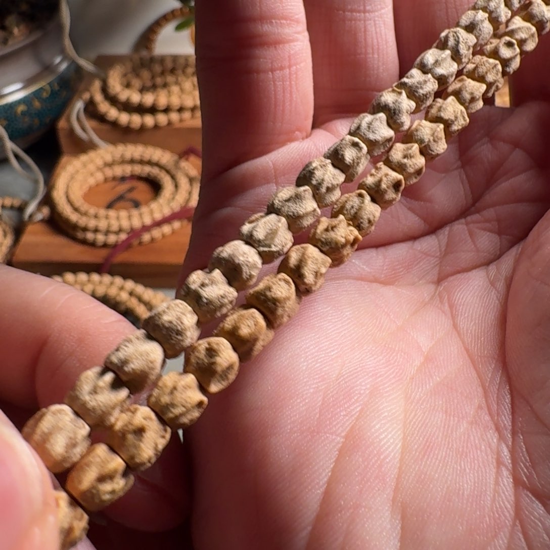 柏香籽/百香籽手串5.5毫米蛇年一号