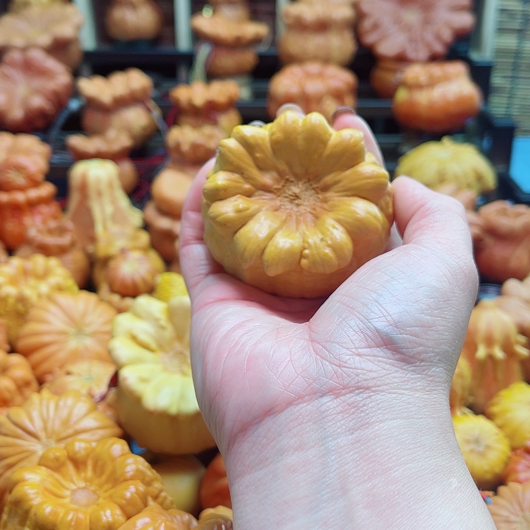 幸***马大叶紫檀（黑酸枝木类）