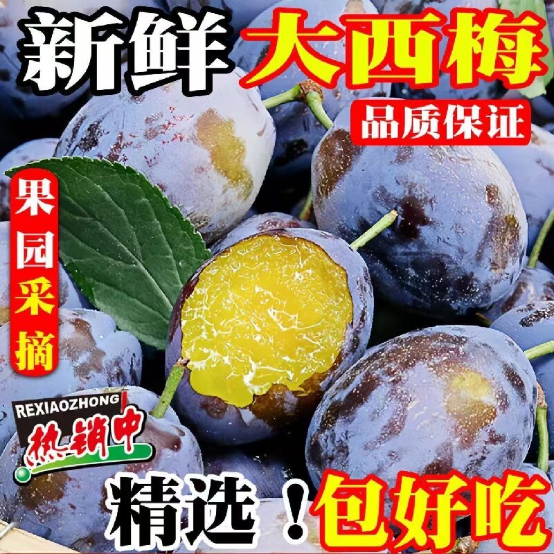 【顺丰次日达】新鲜现摘西梅放软后吃香甜多汁当季水果产地直采SZ陕西省