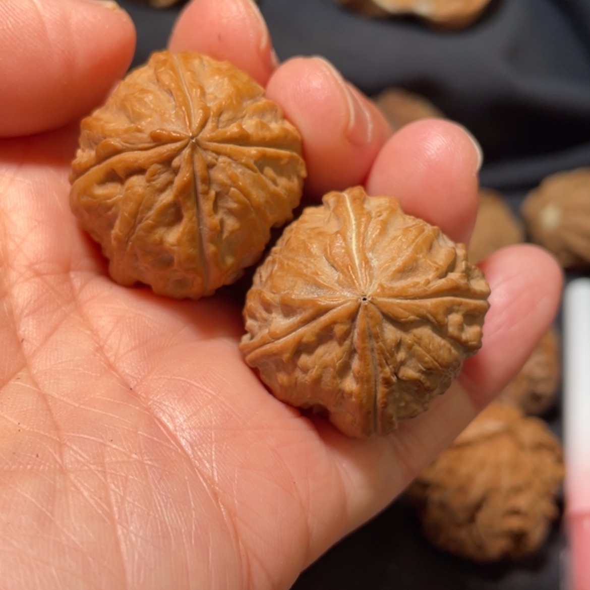【闪购商品】文玩核桃吊坠东北楸子26