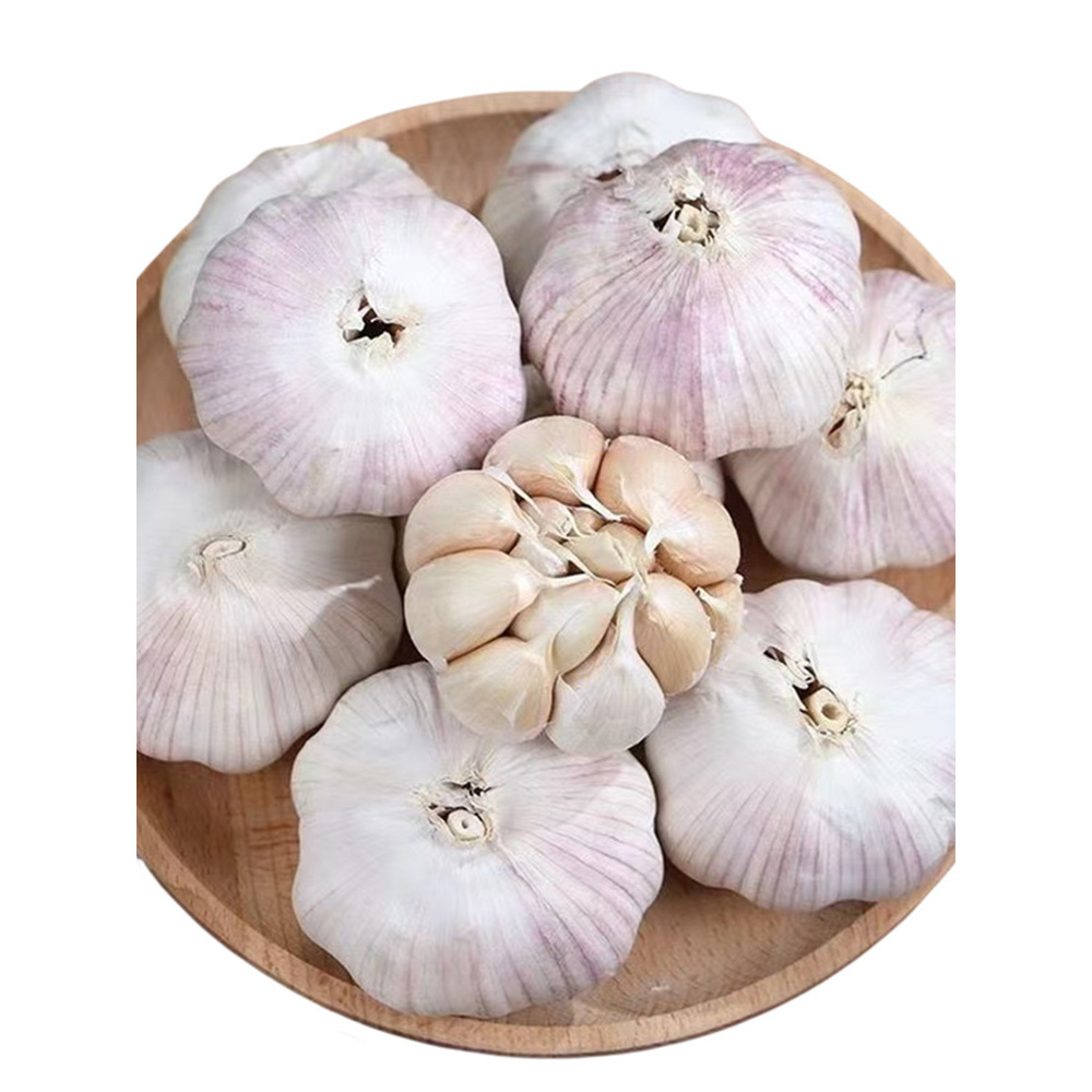 山村农家大蒜 1斤装 【福利】