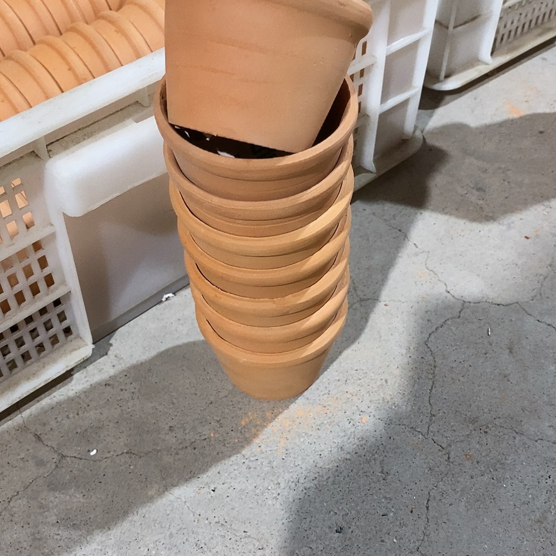 瑕疵红陶033-7×5-8    