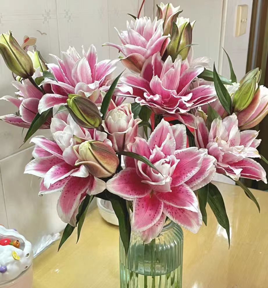 【两单顺丰一单申通】火星之恋粉色重瓣香水百合鲜花家用办公室插花