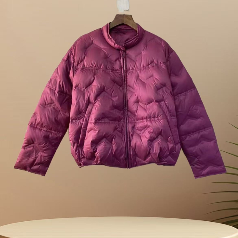 681#新款个性时尚潮流韩版轻薄休闲百搭短款立领羽绒服