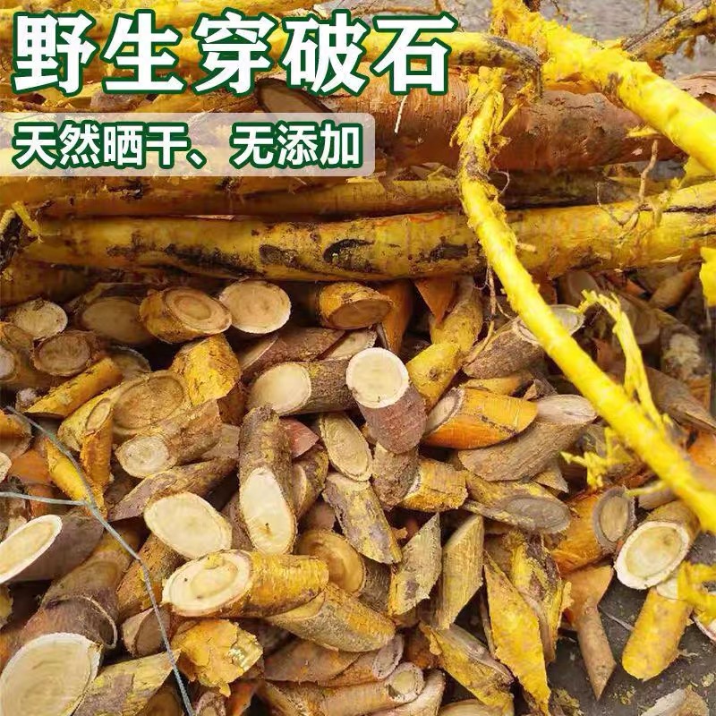 皇后精选穿破石煲汤