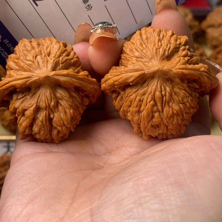 别***海把件桃核全品大娄子