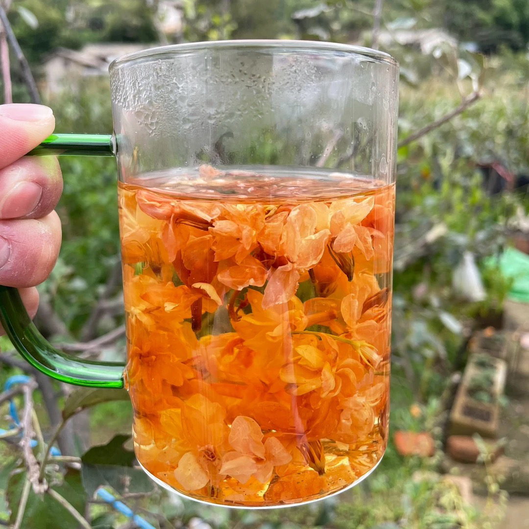 阿牛专属福利~茉莉花净重100克