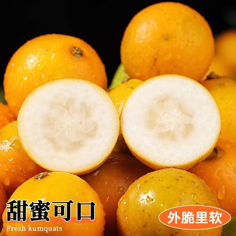 广西融安金桔第三代脆甜可口现摘现发汁多化渣w