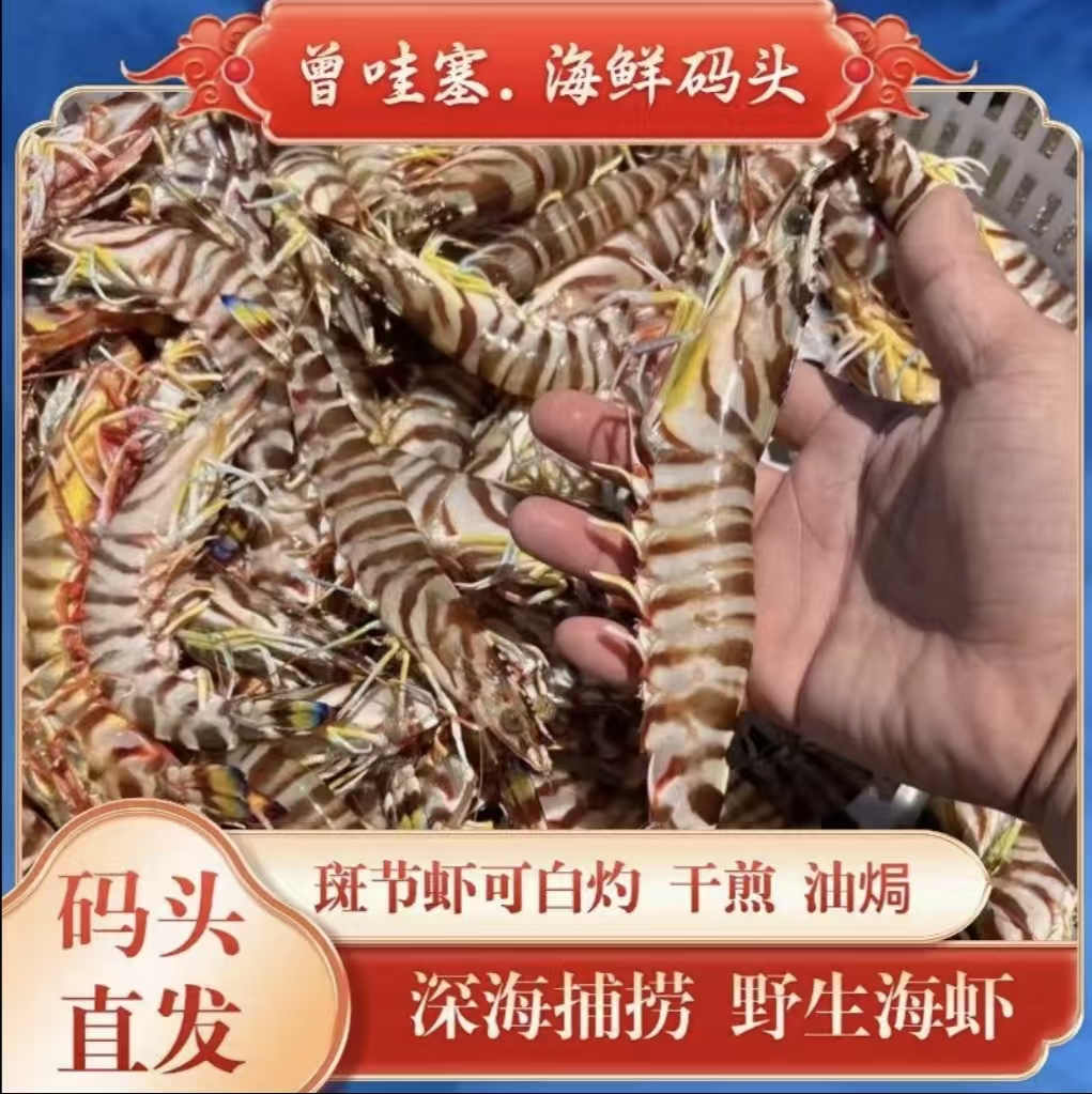 【码头价斑节虾】漳州本港码头野生斑节虾深海现捕 8-10条/盒 发2盒