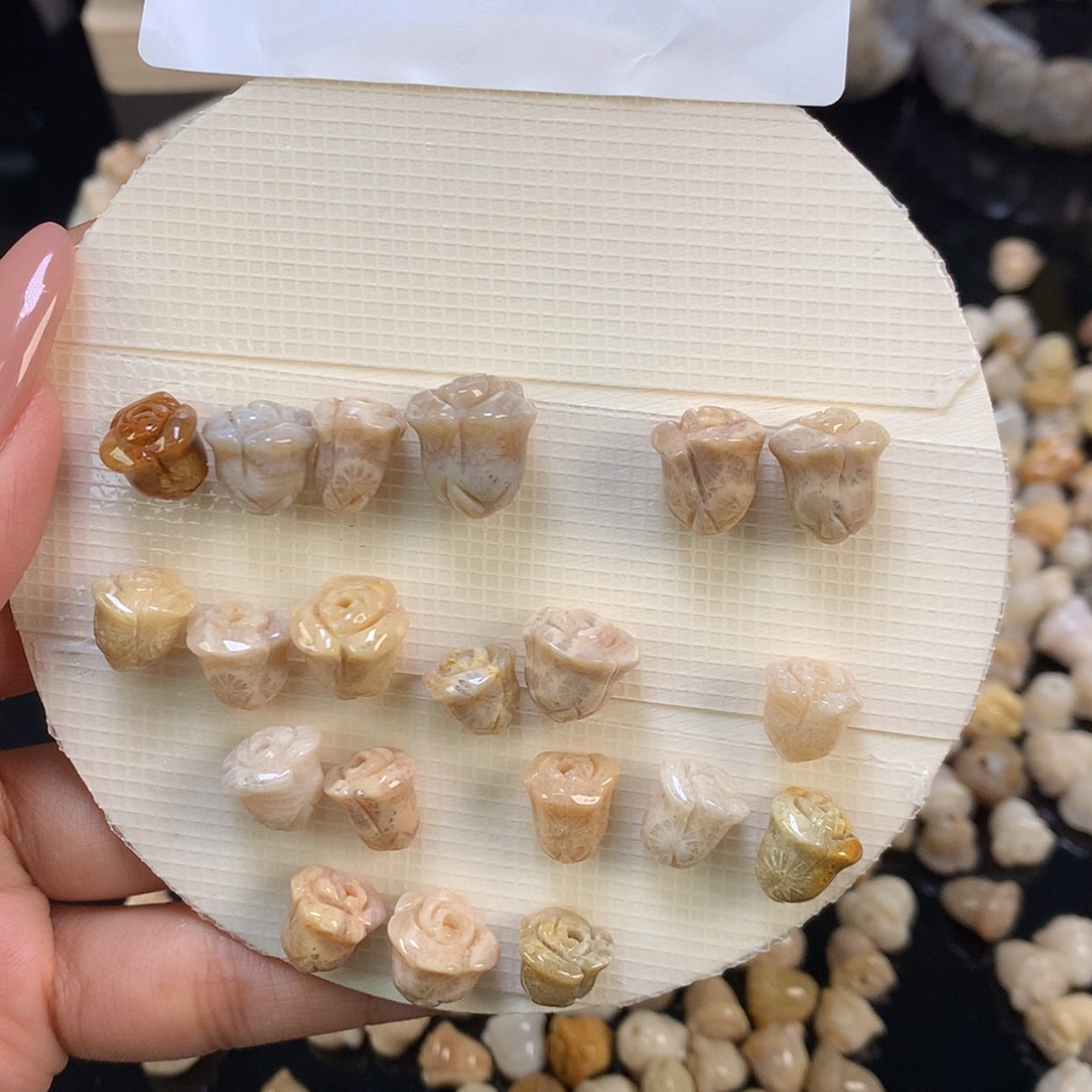 【闪购商品】颈饰未镶嵌硅化珊瑚（珊瑚玉）我***肉