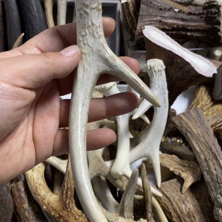 h***nh专拍专拍专拍专拍