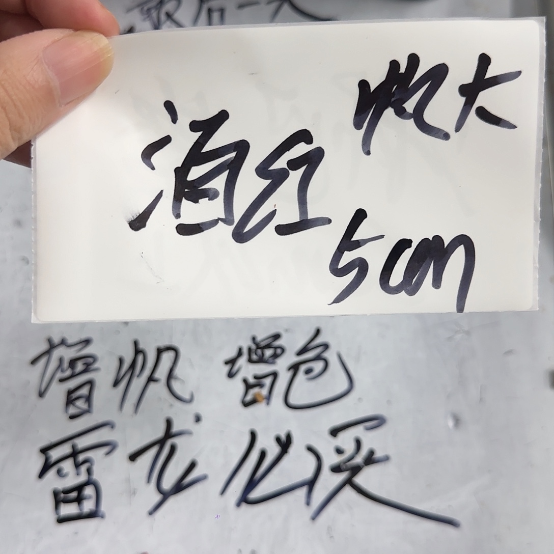 雷龙鱼酒红雷龙1111111