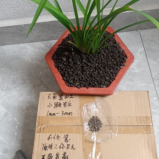 小***雨兰菌黑山土小颗粒6.6斤