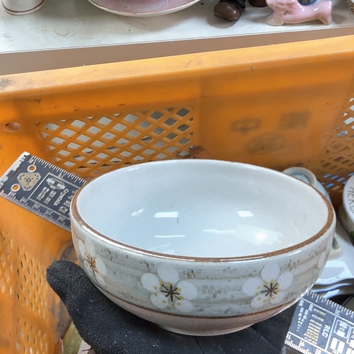 碗开播啦….开播啦