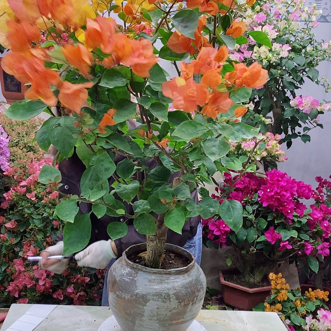 完全开放我要好好学习