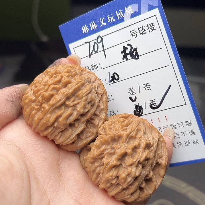 文玩核桃吊坠核桃树209