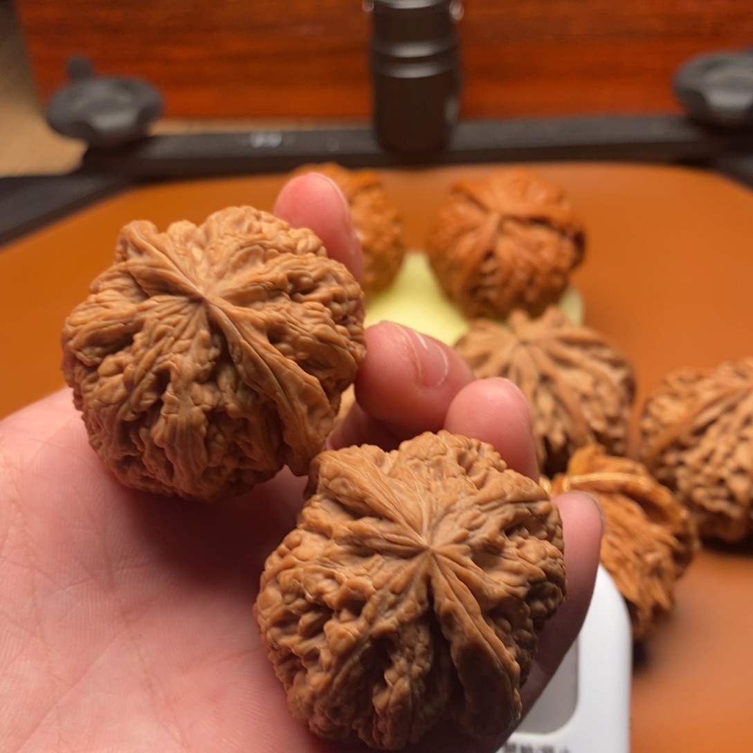 村***鹅文玩一哈去了再说