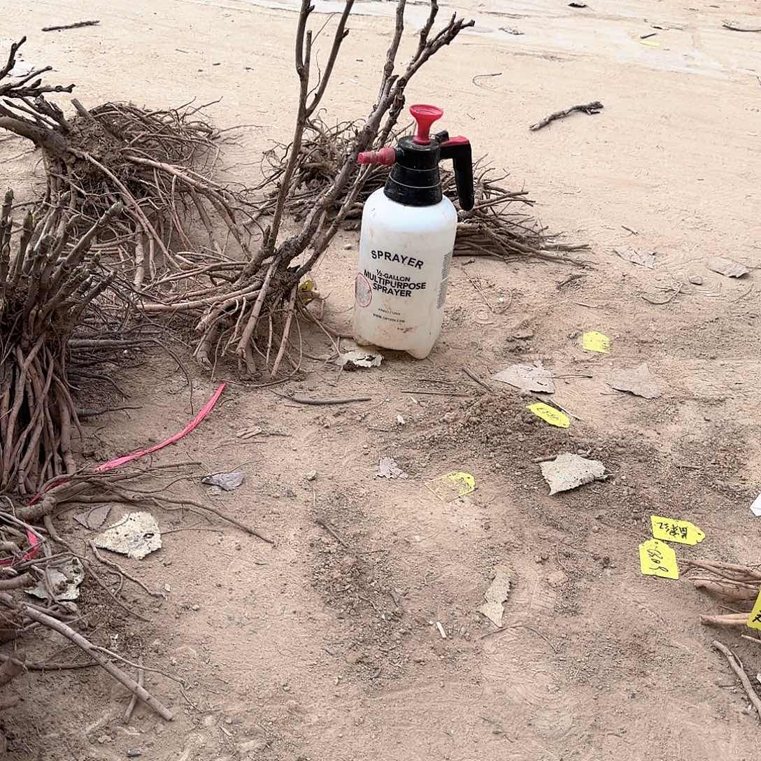 完全开放11111111111111