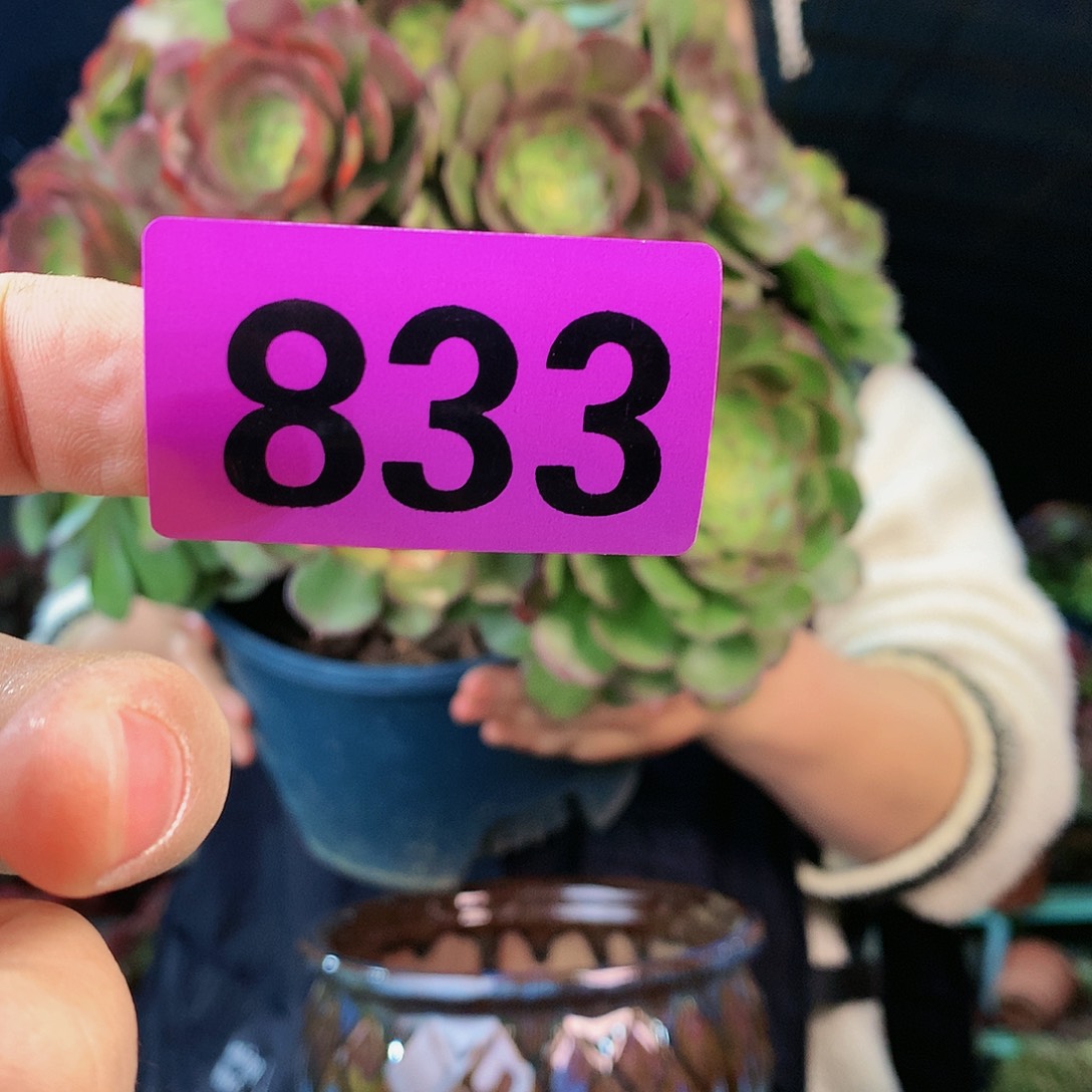 Ggggggggggggg833