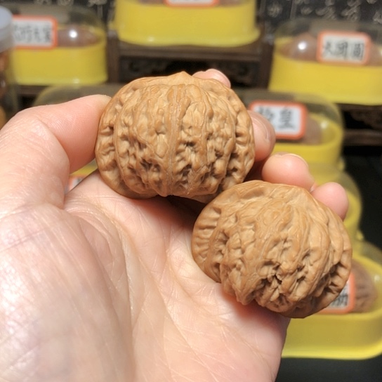 德*精品野生高端战鼓